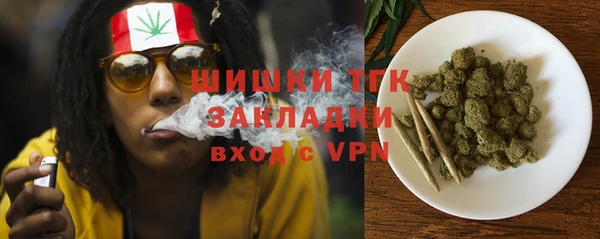 дмт Белокуриха