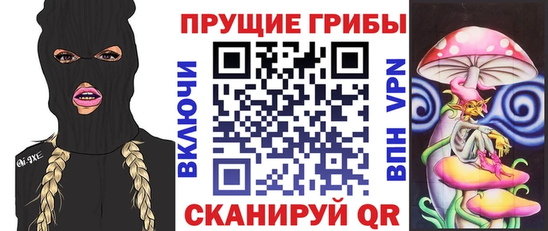 сайты даркнета клад  Покровск  Галлюциногенные грибы Psilocybine cubensis  гидра зеркало 